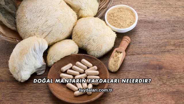 Doğal Mantarın Faydaları Nelerdir?