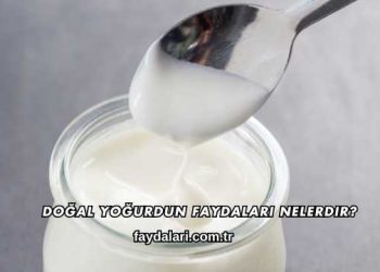 Doğal Yoğurdun Faydaları Nelerdir?