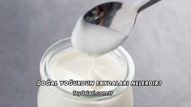 Doğal Yoğurdun Faydaları Nelerdir?