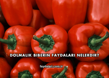 Dolmalık Biberin Faydaları Nelerdir?