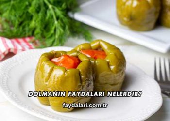 Dolmanın Faydaları Nelerdir?