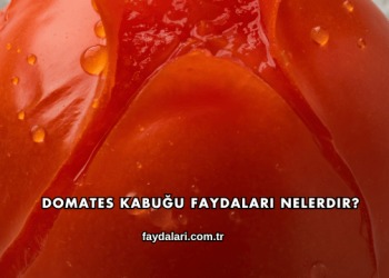 Domates Kabuğu Faydaları Nelerdir?