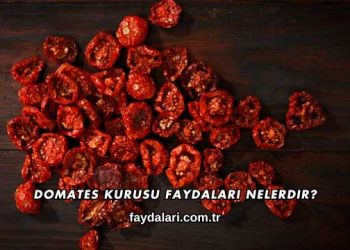 Domates Kurusu Faydaları Nelerdir?