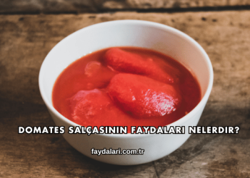 Domates Salçasının Faydaları Nelerdir?