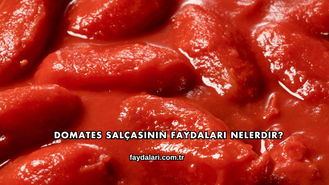 Domates Salçasının Faydaları Nelerdir?