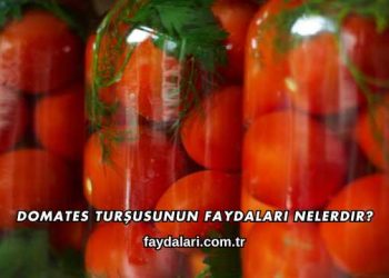 Domates Turşusunun Faydaları Nelerdir?