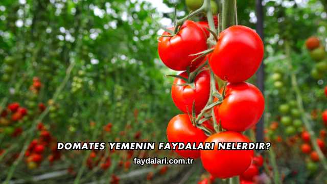 Domates Yemenin Faydaları Nelerdir?