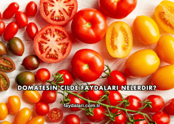 Domatesin Cilde Faydaları Nelerdir?