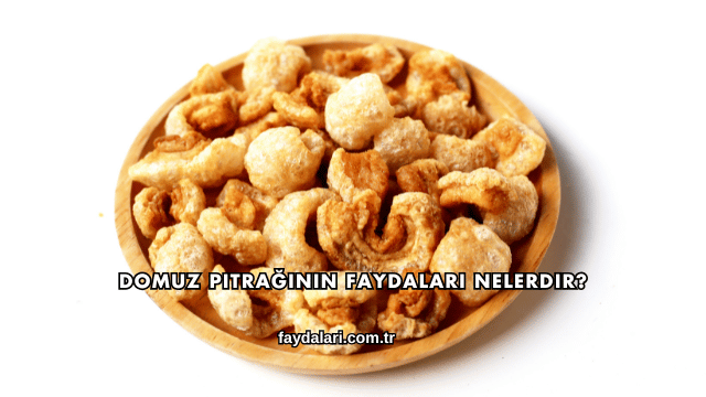 Domuz Pıtrağının Faydaları Nelerdir?