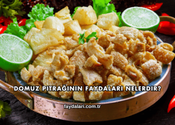 Domuz Pıtrağının Faydaları Nelerdir?