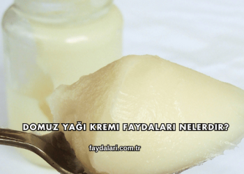 Domuz Yağı Kremi Faydaları Nelerdir?