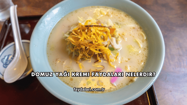 Domuz Yağı Kremi Faydaları Nelerdir?
