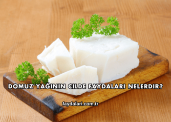 Domuz Yağının Cilde Faydaları Nelerdir?