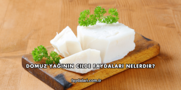 Domuz Yağının Cilde Faydaları Nelerdir?