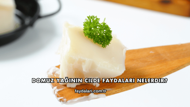 Domuz Yağının Cilde Faydaları Nelerdir?