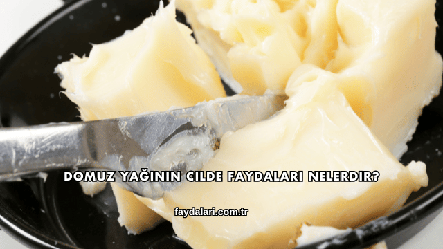 Domuz Yağının Cilde Faydaları Nelerdir?