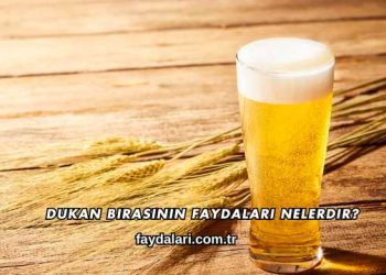 Dukan Birasının Faydaları Nelerdir?