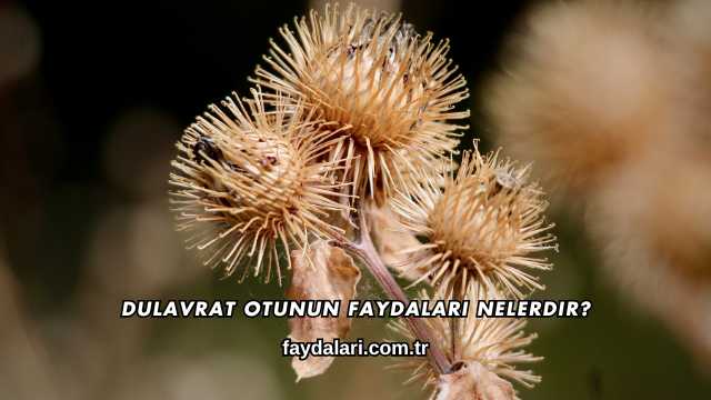 Dulavrat Otunun Faydaları Nelerdir?