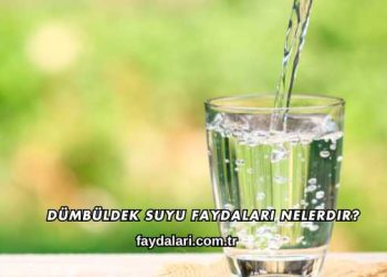 Dümbüldek Suyu Faydaları Nelerdir?