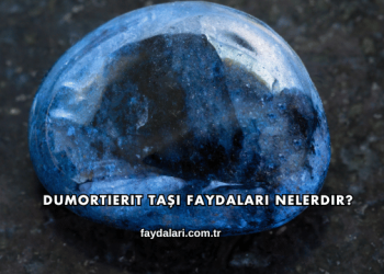 Dumortierit Taşı Faydaları Nelerdir?