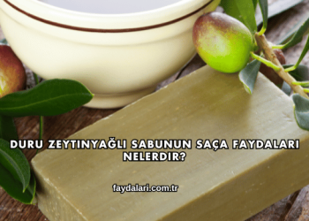 Duru Zeytinyağlı Sabunun Saça Faydaları Nelerdir?