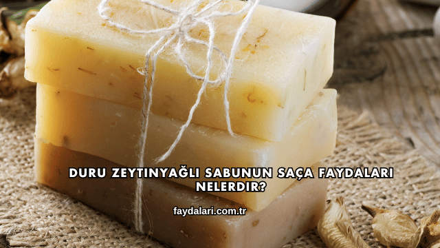 Duru Zeytinyağlı Sabunun Saça Faydaları Nelerdir?