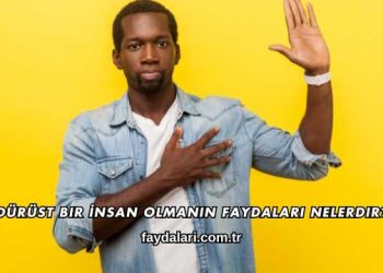 Dürüst Bir İnsan Olmanın Faydaları Nelerdir?