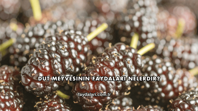 Dut Meyvesinin Faydaları Nelerdir?