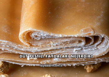 Dut Pestili Faydaları Nelerdir?