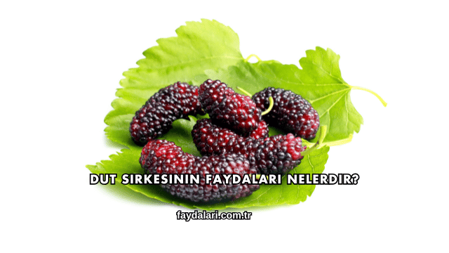 Dut Sirkesinin Faydaları Nelerdir?
