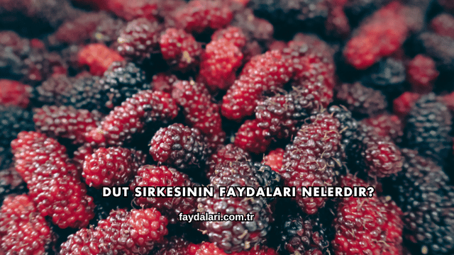 Dut Sirkesinin Faydaları Nelerdir?
