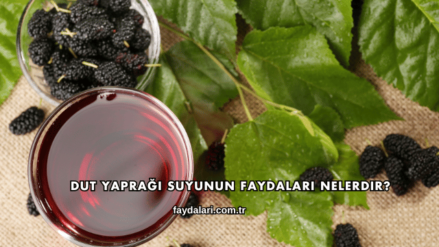 Dut Yaprağı Suyunun Faydaları Nelerdir?