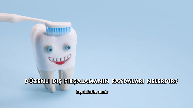 Düzenli Diş Fırçalamanın Faydaları Nelerdir?