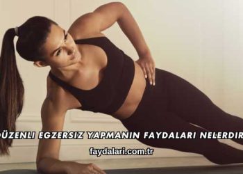 Düzenli Egzersiz Yapmanın Faydaları Nelerdir?