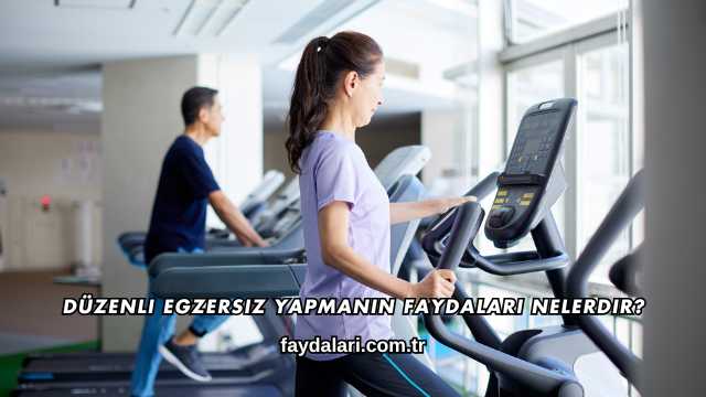 Düzenli Egzersiz Yapmanın Faydaları Nelerdir?
