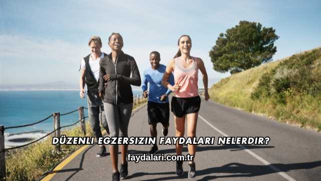 Düzenli Egzersizin Faydaları Nelerdir?