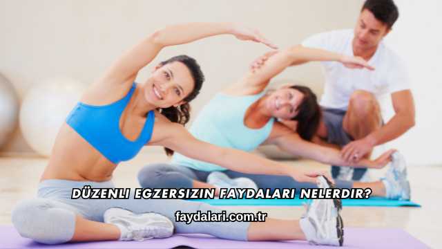 Düzenli Egzersizin Faydaları Nelerdir?