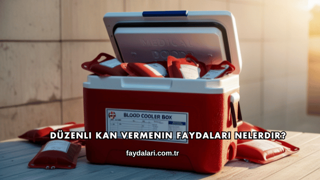 Düzenli Kan Vermenin Faydaları Nelerdir?