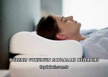 Düzenli Uykunun Faydaları Nelerdir?