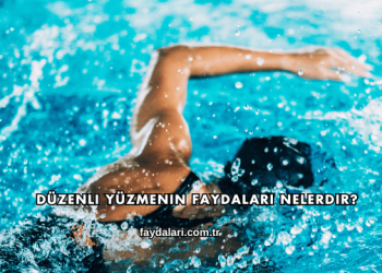 Düzenli Yüzmenin Faydaları Nelerdir?