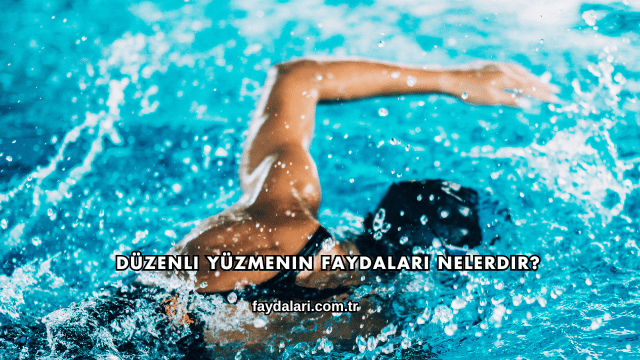 Düzenli Yüzmenin Faydaları Nelerdir?