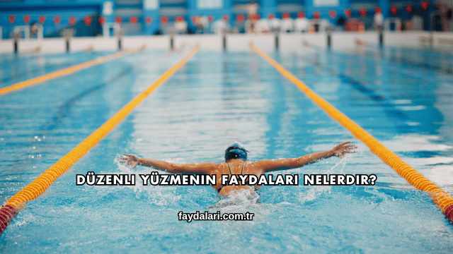 Düzenli Yüzmenin Faydaları Nelerdir?