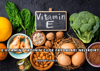 E Vitamini Yağının Cilde Faydaları Nelerdir?