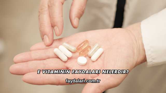 E Vitaminin Faydaları Nelerdir?