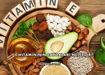 E Vitamininin Faydaları Nelerdir?
