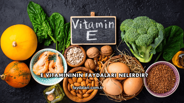 E Vitamininin Faydaları Nelerdir?