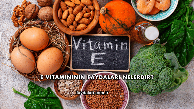E Vitamininin Faydaları Nelerdir?