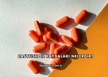 Easyfishoil Faydaları Nelerdir?