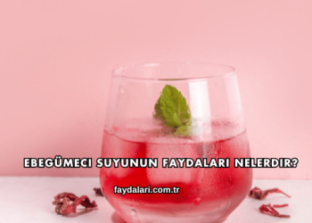 Ebegümeci Suyunun Faydaları Nelerdir?