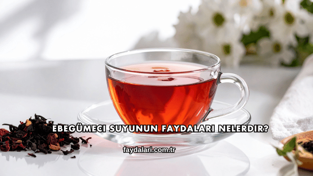 Ebegümeci Suyunun Faydaları Nelerdir?